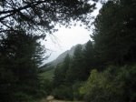 IMG_3971.jpg