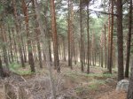 IMG_3974.jpg