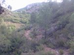 Imagen084.jpg