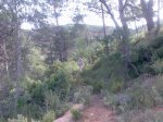 Imagen087.jpg