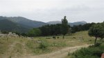 IMG_0696.JPG
