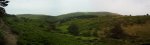 Pano Cepeda.jpg