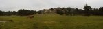 Pano, pradillo.jpg