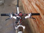 DSC03520.jpg