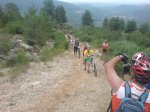 DSC01370.jpg