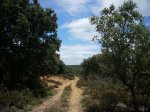Imagen 055.jpg