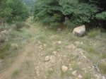 DSC01375.jpg