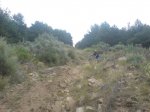 DSC01377.jpg