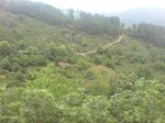 DSC01382.jpg