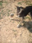 DSC08935.jpg