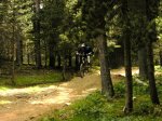 DSC03524a.jpg