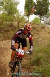 DSC_0220_bicicat.JPG