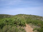 DSC06637_resize.JPG