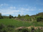 IMG_0077.JPG