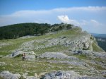 Image_011.JPG