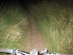 IMG_1468.jpg