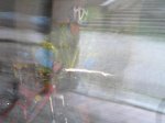 kdd alcora 021_648x484.jpg