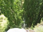 mini-IMG_4882.JPG