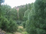 mini-IMG_4896.JPG