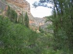 mini-IMG_4917.JPG
