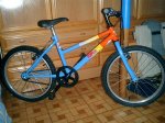 Bike RubÃ©n-2 (Small).JPG