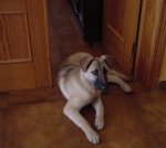 DSC00007.JPG