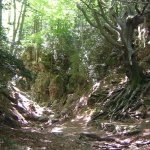 DSCN6954.JPG