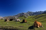 descanso%20en%20el%20paraiso[1].jpg