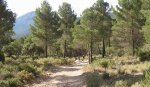 P6208905_resize.jpg