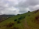 20062009673.jpg
