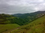 20062009675.jpg