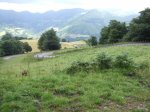 vacaciones 2008 011.jpg