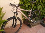 TREK 001.jpg