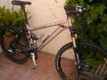 TREK 003.jpg