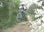 Dh Sa Creu 20-06-09 014.JPG