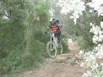 Dh Sa Creu 20-06-09 015.JPG