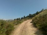 20062009481.jpg