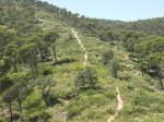 sierra espuÃ±a 017.jpg