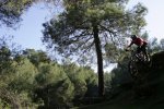 Cumbres 667.jpg