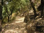 salida 20-06-09 030.jpg