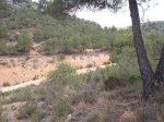 DSCF3878.JPG