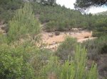 DSCF3880.JPG
