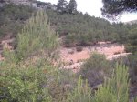DSCF3883.JPG