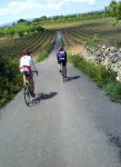 DSC00984.jpg