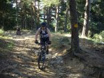 03 CERCEDILLA CONTADOR.jpg