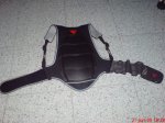 DSC00131.jpg