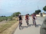 DSC02878.jpg
