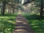 DSC02002.jpg