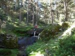 DSC02012.jpg