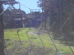 DSC02017.jpg